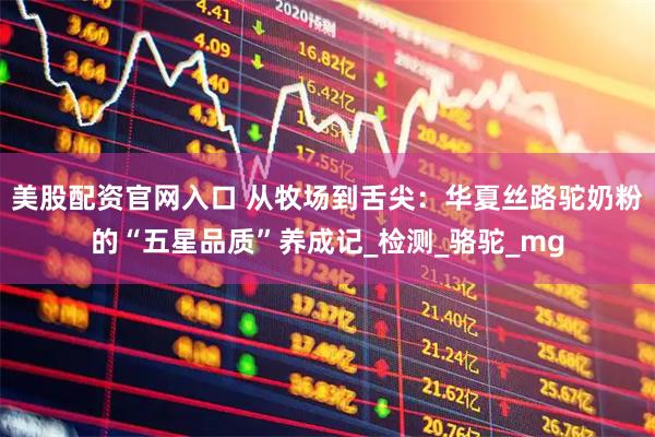 美股配资官网入口 从牧场到舌尖：华夏丝路驼奶粉的“五星品质”养成记_检测_骆驼_mg