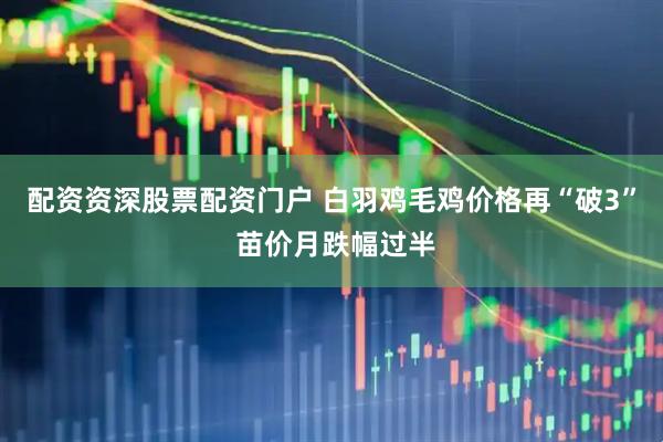 配资资深股票配资门户 白羽鸡毛鸡价格再“破3” 苗价月跌幅过半